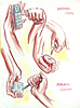 Serge Onnen Manuals 5