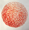 Serge Onnen Spheres 6